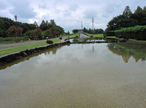 2018-09-02 Resized 大宮花の丘農林公苑‥ (14).jpg