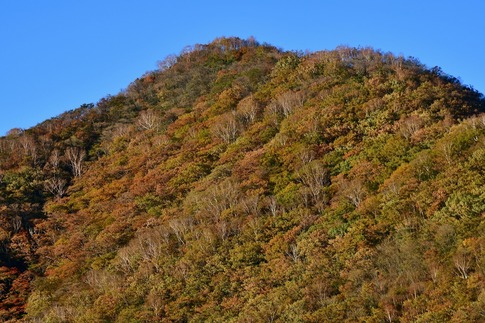 2018-10-07  Resized  ԏRiojd (15).jpg