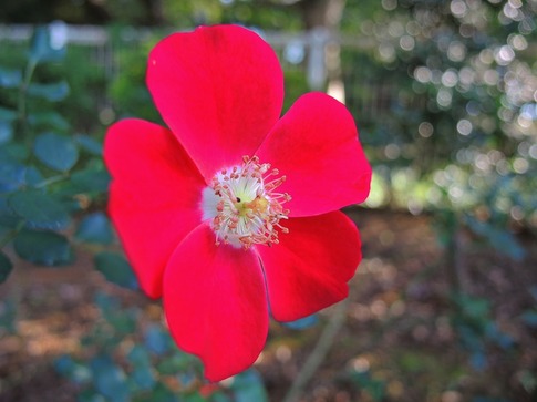 2018-10-20  Resized  ɓގUd (3).jpg