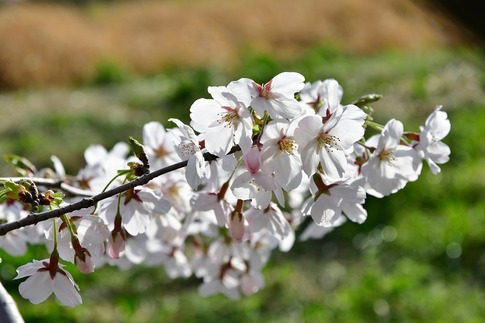 2019-04-06  B-Resized  FJsijd (21).jpg