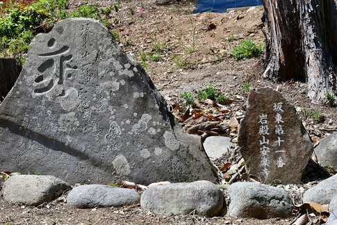 2019-04-28 B-Resized 五大尊のツツジ(越生町)‥ (10).jpg