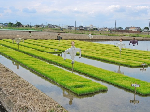 2019-05-06 Resized 熊谷の農村‥ (1).jpg