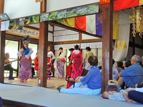 2019-06-16 Resized 金泉寺のあじさい(嵐山町)‥ (10).jpg