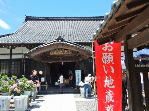 2019-06-16 Resized 金泉寺のあじさい(嵐山町)‥ (9).jpg