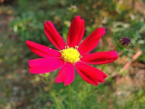 2019-09-29  Resized  Hقivs푫jd (9).jpg