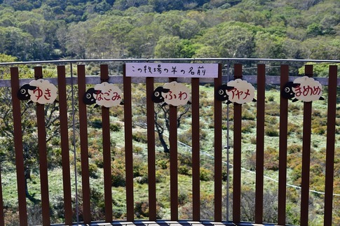 2019-10-05 Resized 赤城白樺牧場‥ (10).jpg