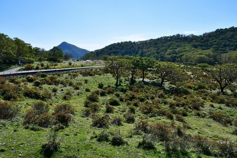 2019-10-05 Resized 赤城白樺牧場‥ (2).jpg