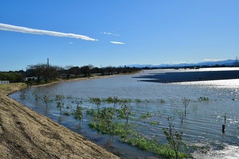 2019-10-13 Resized 台風19号通過跡(川島町)‥ (4).jpg