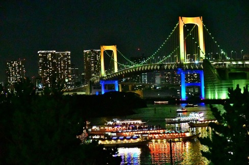 A-Resized 歳末、お台場の夜景‥ (3).jpg