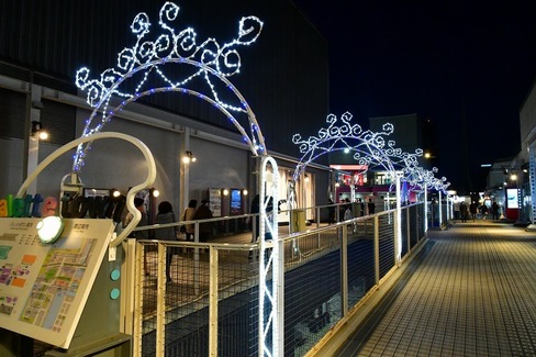 A-Resized 歳末、お台場の夜景‥ (4).jpg