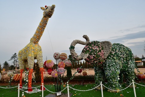 Resized 東武動物公園‥ (19).jpg