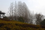 Resized 伊佐沼‥(川越市).jpg