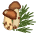 matsutake-01.gif